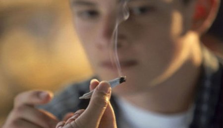 Употребление марихуаны в подростковом возрасте вызывает воспаление в мозге